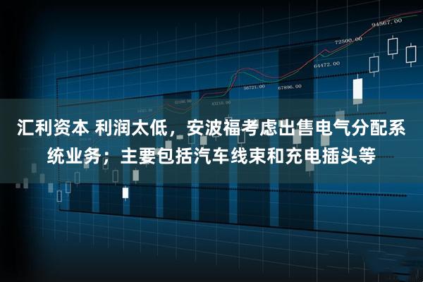 汇利资本 利润太低，安波福考虑出售电气分配系统业务；主要包括汽车线束和充电插头等