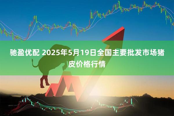 驰盈优配 2025年5月19日全国主要批发市场猪皮价格行情