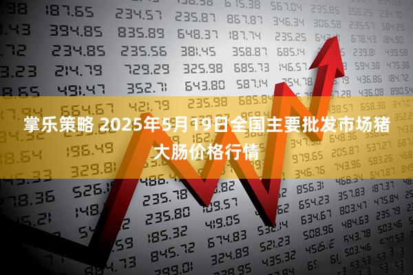 掌乐策略 2025年5月19日全国主要批发市场猪大肠价格行情