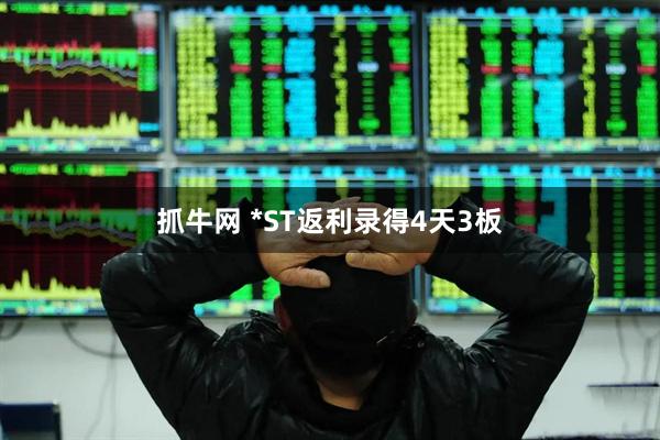 抓牛网 *ST返利录得4天3板