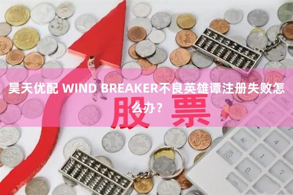 昊天优配 WIND BREAKER不良英雄谭注册失败怎么办？